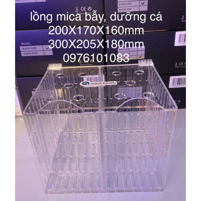 Lồng mica bẫy và dưỡng cá