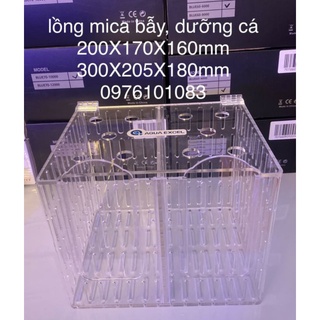 lồng mica bẫy và dưỡng cá