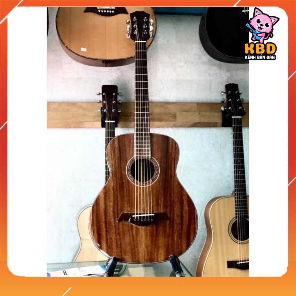 Đàn Guitar gỗ Điệp nguyên tấm - Size Vừa (Lớn-Nhỏ)