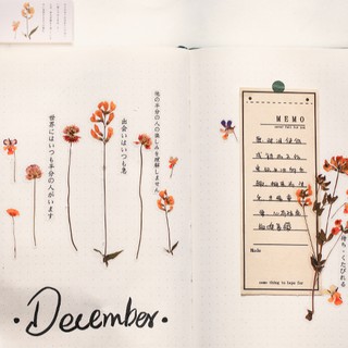 SET STICKER HOA KHÔ (DRIED FLOWERS) TRANG TRÍ SỔ BULLET JOURNAL