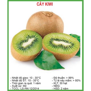 Hạt Giống Quả Kiwi 30 Hạt / Gói