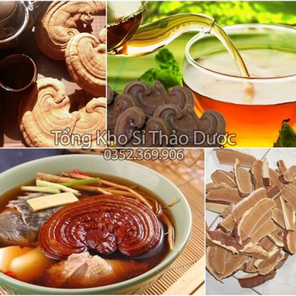 Bột nấm linh chi nguyên chất 1kg