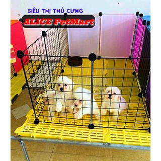 [GIAO HÀNG SIÊU NHANH - FREE SHIP]CHUỒNG CHÓ MÈO LẮP GHÉP ĐA NĂNG Y Hình - Lưới Dài + Nhựa 35*45cm