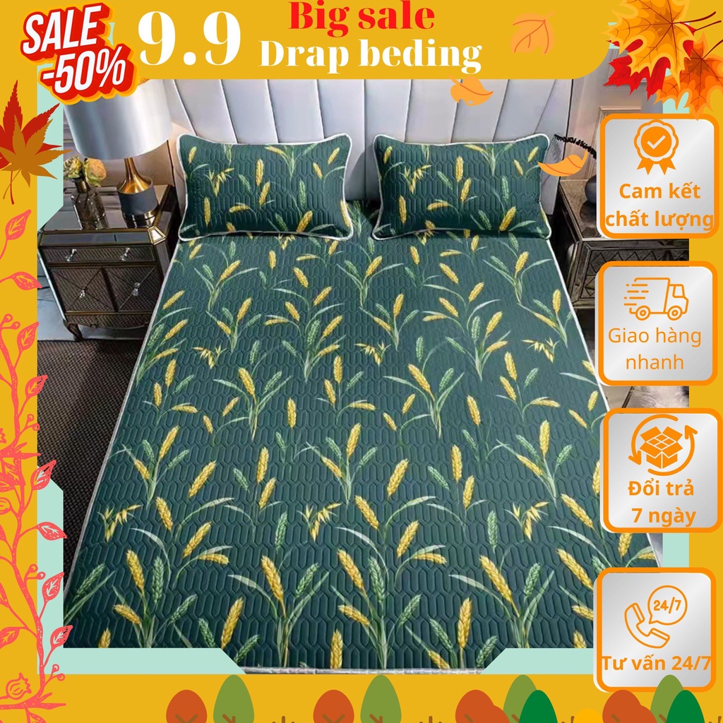 Chiếu điều hòa cao su non gồm ga trải đệm kích thước 1m8-2m kèm 2 áo gối mẫu lúa mạch