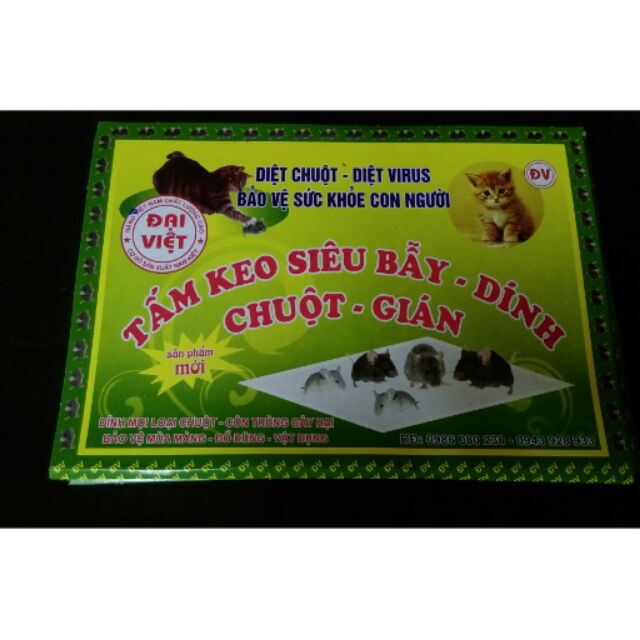 Keo bẫy chuột