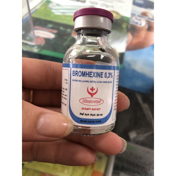 Bromhexine giảm ho long đờm cho chó mèo chai 20ml