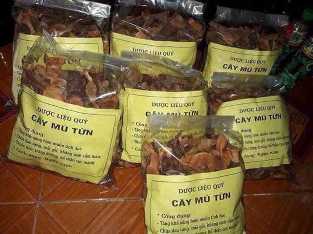 500g Cây Mú Từn - bổ thận tráng dương mạnh | BigBuy360 - bigbuy360.vn