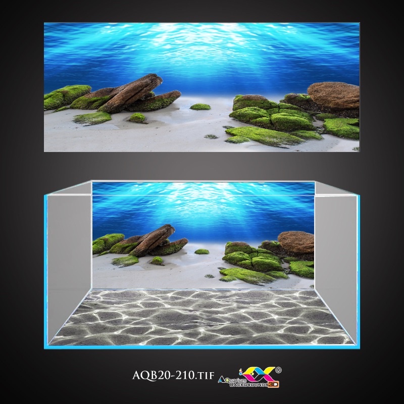 Tranh 3D dán bể cá