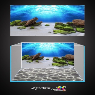 Tranh 3D dán bể cá