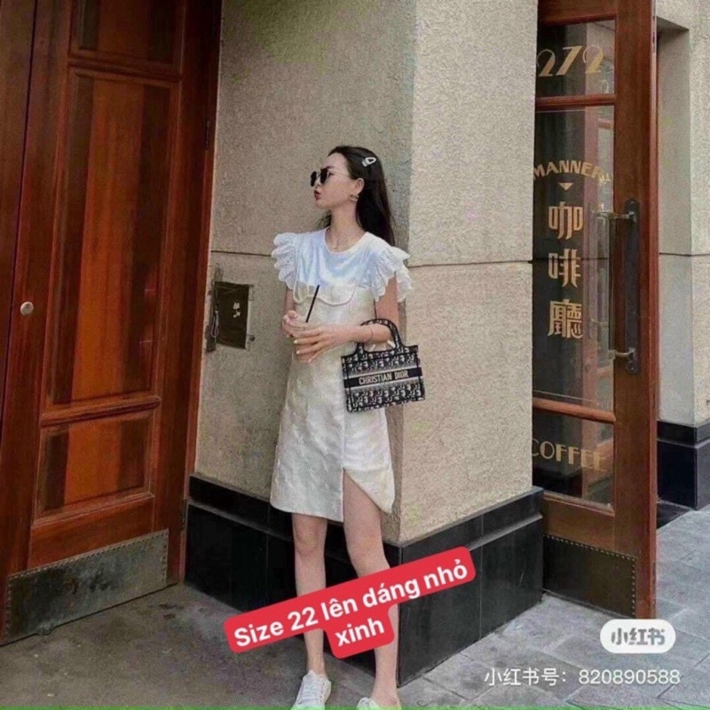 TÚI DIOR THỔ CẨM SIZE22 SPSL