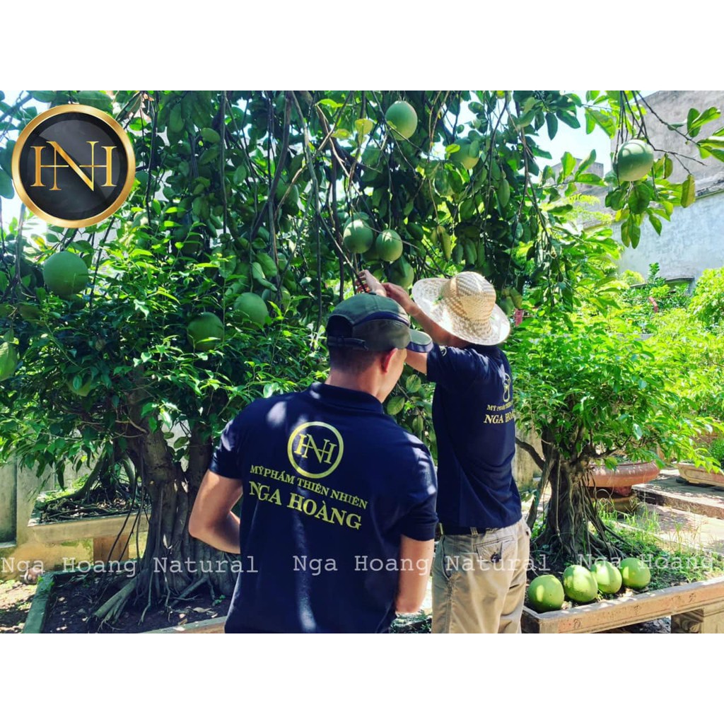 [ Chính Hãng ] tinh dầu bưởi Nga Hoàng | BigBuy360 - bigbuy360.vn