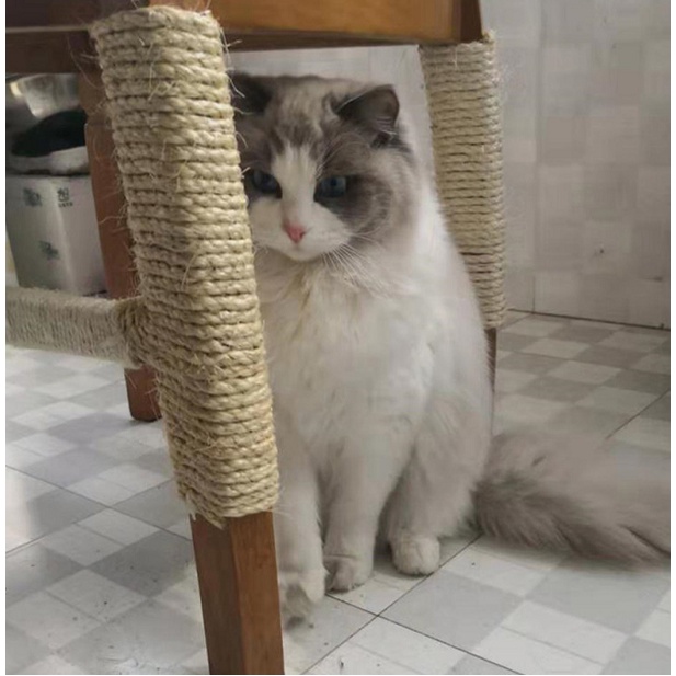 Đồ Chơi Kiểu Cây Gắn Dây Thừng Vui Nhộn Cho Mèo