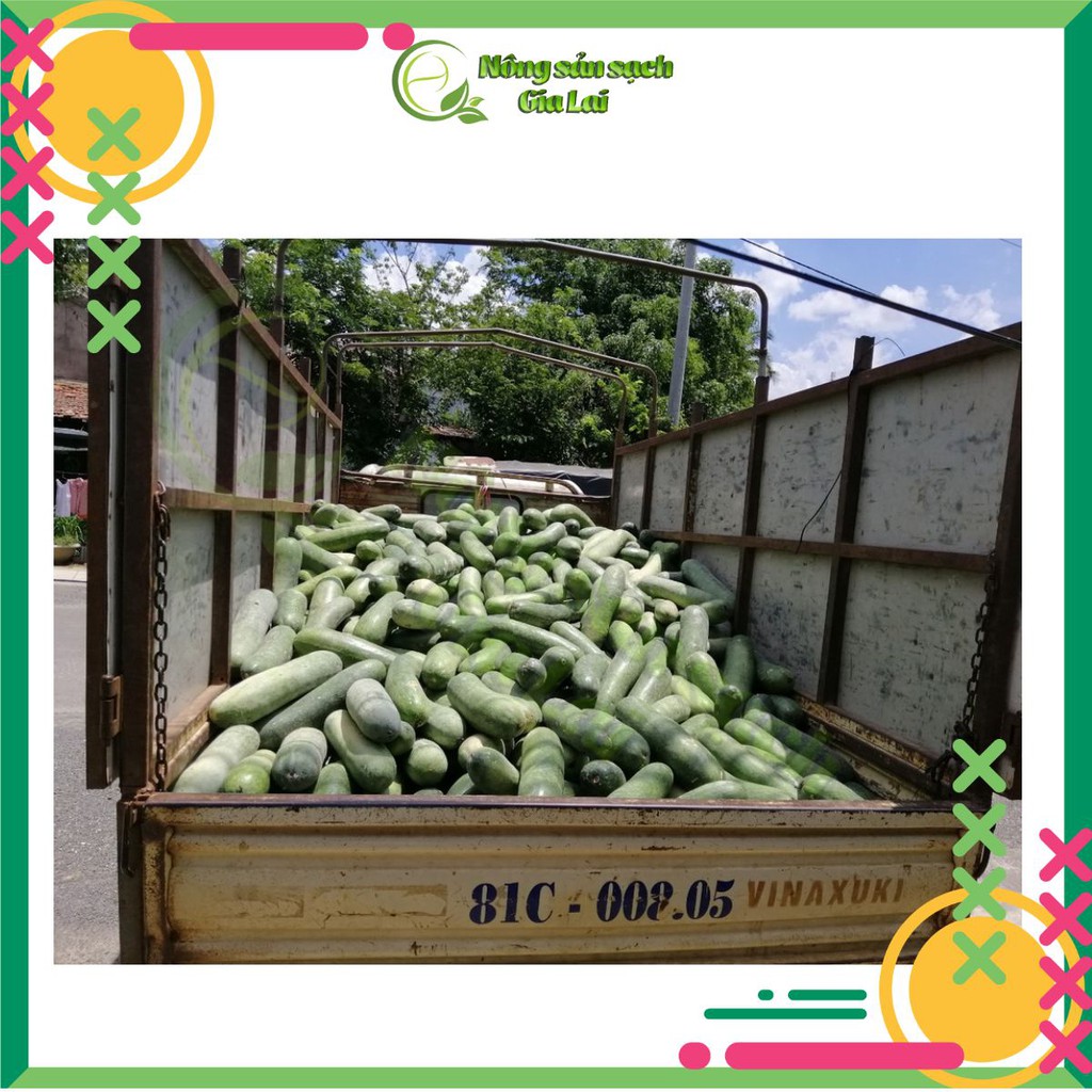 Bí đao sấy khô thơm ngon, giảm cân hiệu quả và an toàn, sản phẩm đảm bảo, tốt cho sức khỏe mọi người | BigBuy360 - bigbuy360.vn