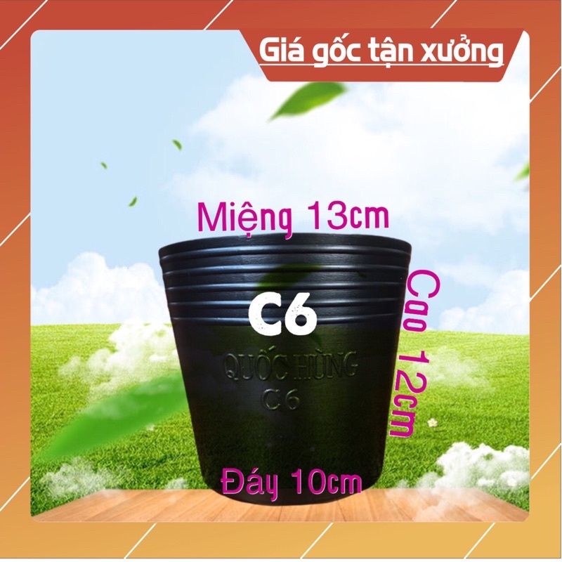Chậu nhựa đen C6
