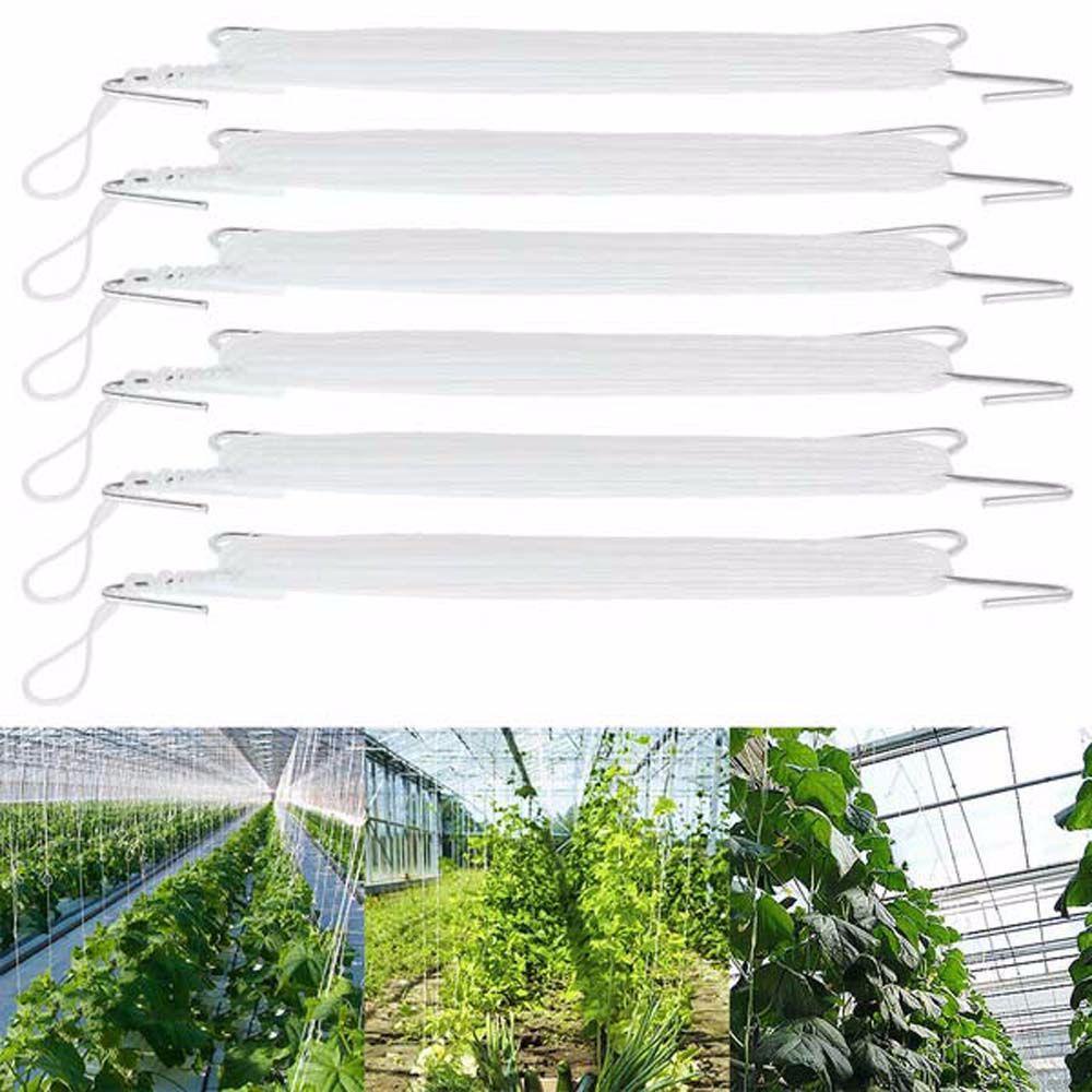 Móc Hỗ Trợ Trồng Cây Dây Leo Cà Chua Trái Cây