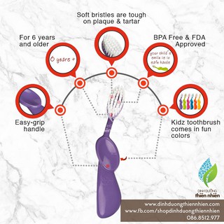 Bàn chải đánh răng Radius cho bé 6 tuổi