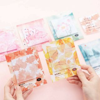 Note Phi Hành Gia, Gấu 50 tờ