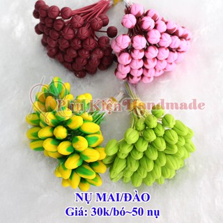 Nụ hoa mai/ đào