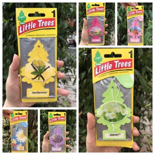 CÂY THÔNG THƠM LITTLE TREES HƯƠNG HOA - cây thông thơm Mỹ