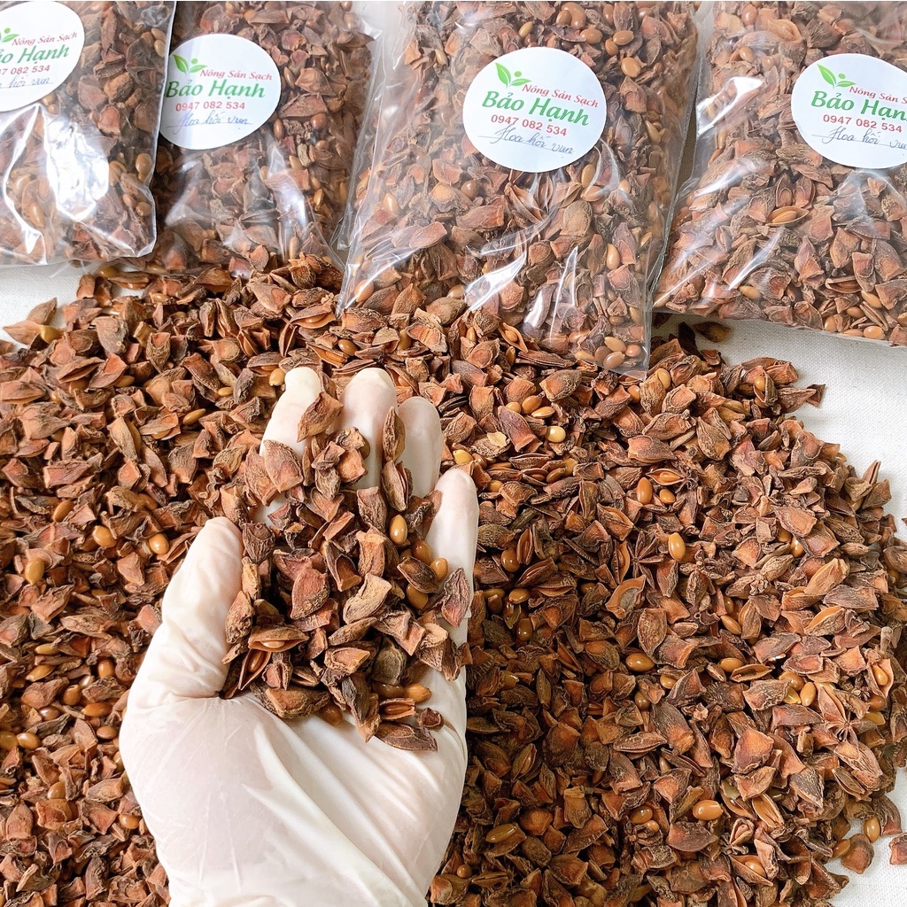 Hoa hồi vụn 100gr nguyên chất Lạng Sơn BH Spices 100gr chế biến thực phẩm BHS002