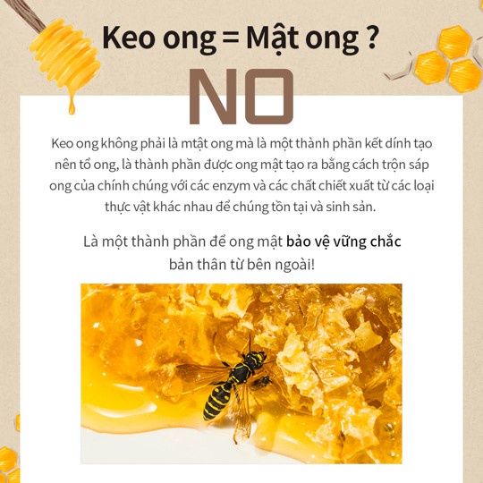 Serum WellDerma Propolis 1000 Energy Ampoule Cải Thiện Nếp Nhăn Làm Trắng Da