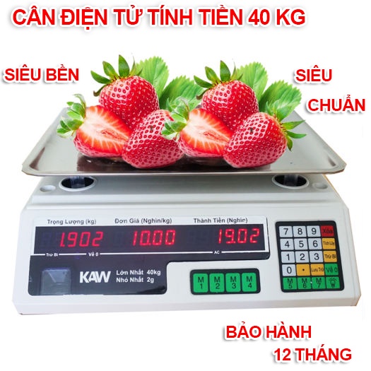 cân thực phẩm điện tử mini, đồ dùng nhà bếp - CÂN ĐIỆN TỬ TÍNH TIỀN SẠC PIN MÀN HÌNH LCD 40Kg