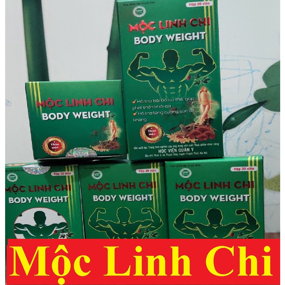 Mộc linh chi (body weight - HVQY) kích thích ăn ngon, tăng hấp thu, giúp tăng nhanh bền vững, an toàn cho người gầy