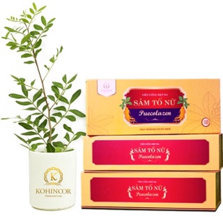 sâm tố nữ puecolazen