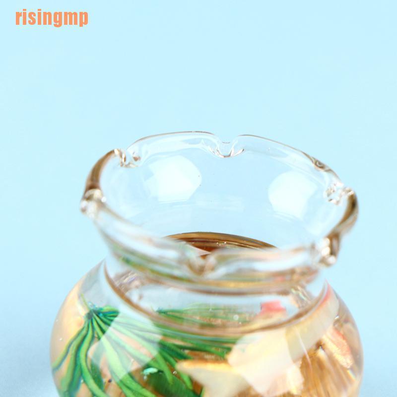 Mô Hình Trang Trí Bể Cá Thu Nhỏ &amp; X House