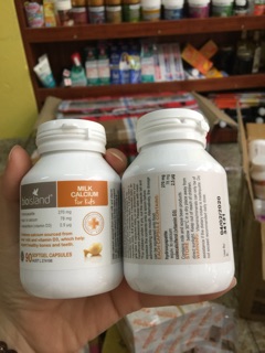 Canxi Bioisland 90v Mẫu Mã Mới