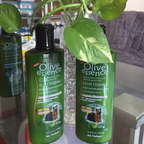 Sữa tắm cho mọi loại chó mèo - Dầu tắm Olive 450ml giúp mềm mượt lông, chăm sóc nuôi dưỡng lông, lưu hương thơm