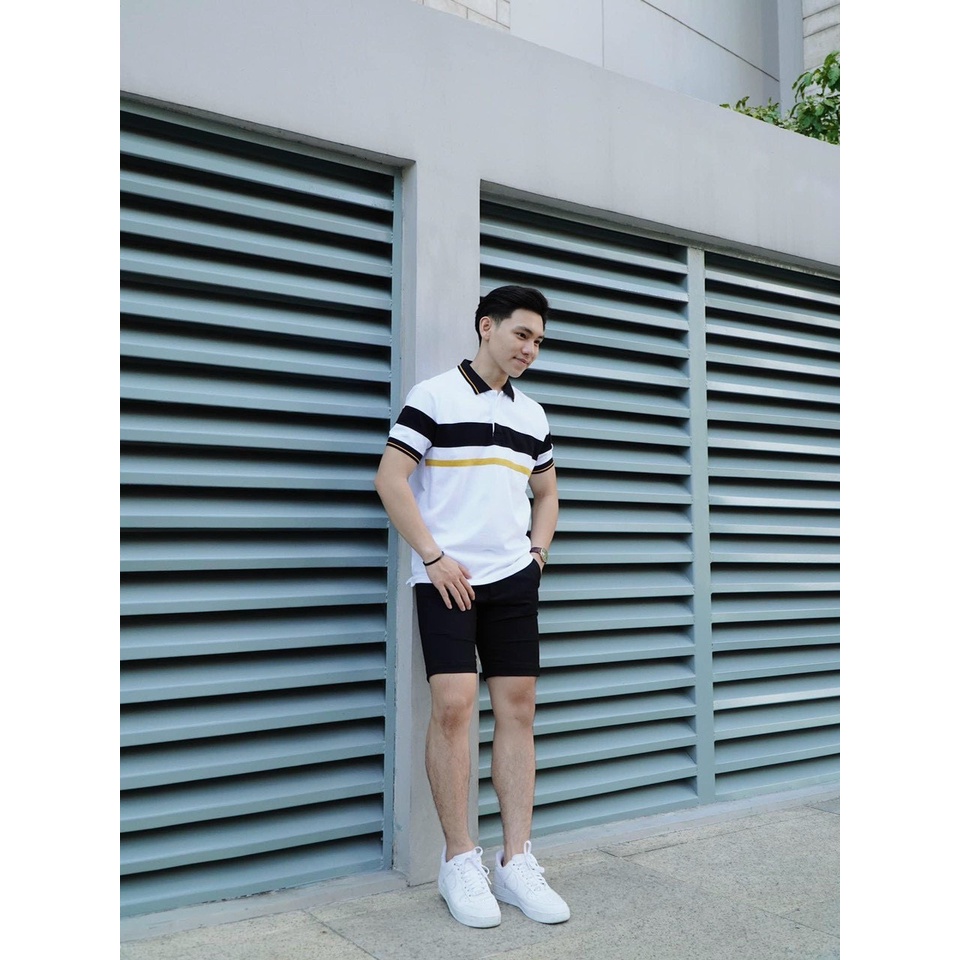 Áo polo nam cổ bẻ vải cá sấu Cotton xuất xịn,chuẩn form, sang trọng - thanh lịch TB011