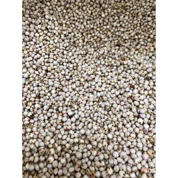 Hạt bobo trắng.Thức ăn cho thú cưng