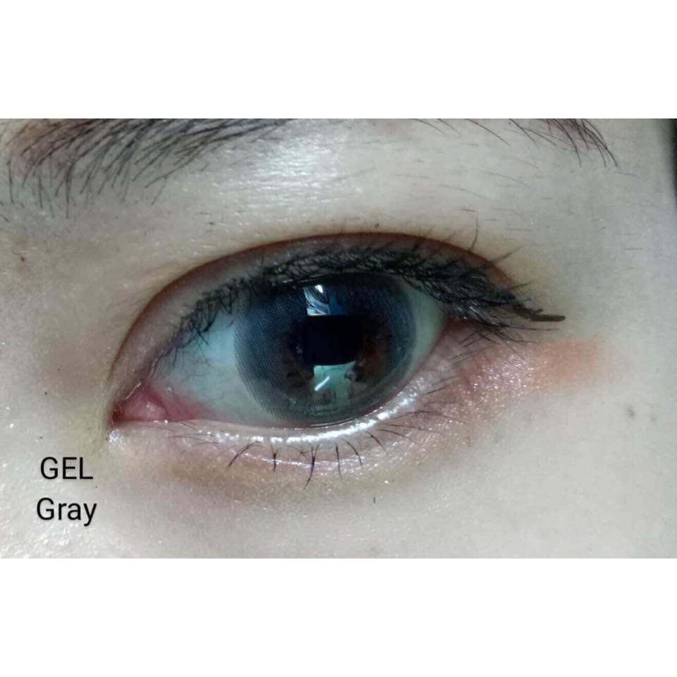 Mẫu Gel gray Vassen LENS