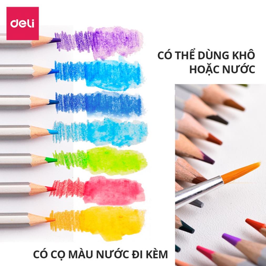 Bút chì màu nước cao cấp Deli - Có kèm cọ tán - Bộ 24/36/48 màu - 6521/6522/6523/6524