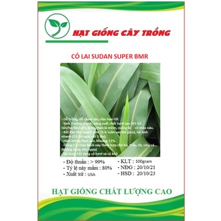 Hạt giống cỏ sudan super bmr - cỏ ngô ct235 - gói 100gram