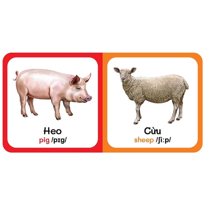 Sách - Từ Điển Bằng Hình Đầu Tiên Của Bé - Farm Animals - Động Vật Nuôi (Song Ngữ Anh-Việt)