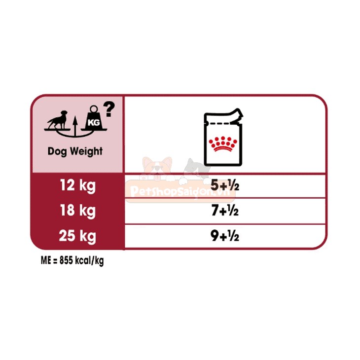 Pate Royal Canin Medium Adult 10x140g - Dành cho chó size nhỡ trưởng thành- Pate cho chó 10x140g