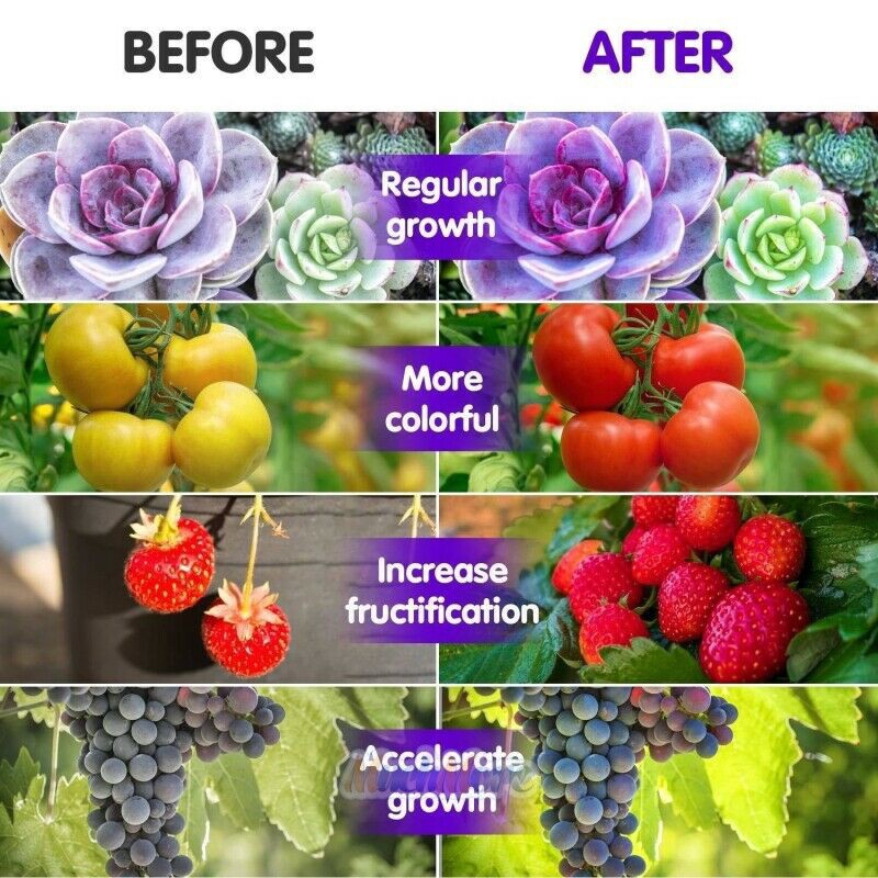 40W 4 đầu LED Grow Light 🔥đèn trồng cây trong nhà🔥 Spectrum Hydroponic Vegetable Flower Thực vật trong nhà