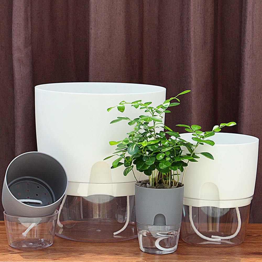 Chậu trồng cây/hoa trang trí trong nhà/ngoài trời