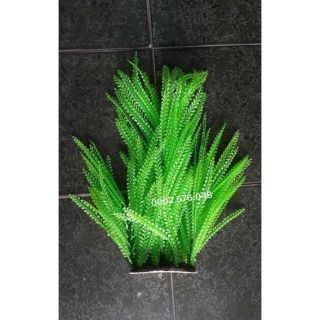 Rong nhựa Ms68 trang trí hồ cá