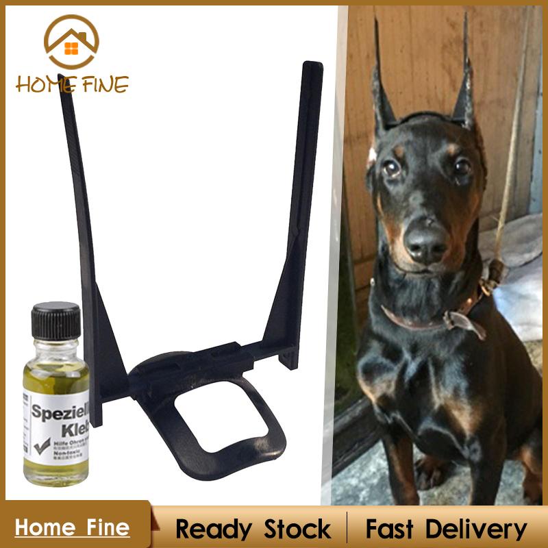 Giá Đỡ Tai Chó Chihuahua Chuyên Dụng Chất Lượng