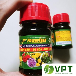 Phân cá PowerFeed Siêu đẻ nhánh, KHÔNG HÔI 100ml