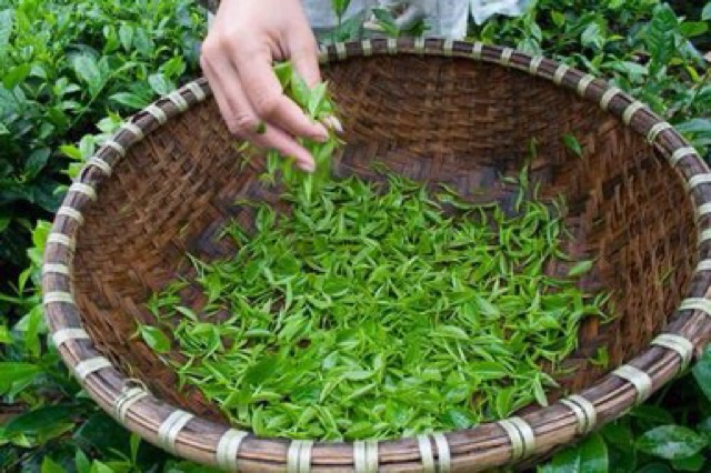 200g chè khô thái nguyên