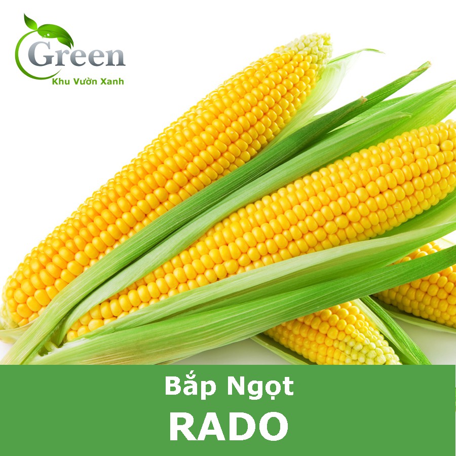 Hạt Giống Bắp Ngọt