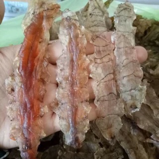 Khô tôm tít