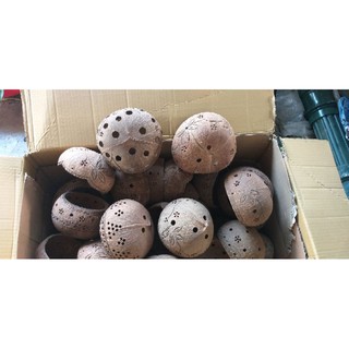 Chậu hoa lan gáo dừa size lớn