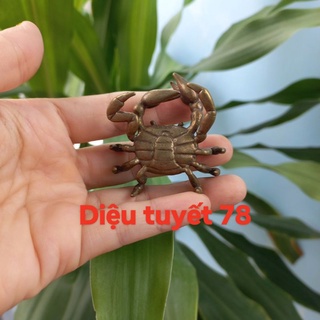 Cua đồng phong thủy kích thước 5cm
