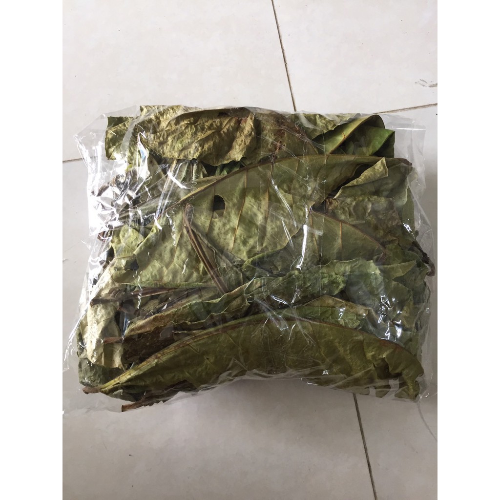 [PHƠI NẮNG TỰ NHIÊN - 100g 50 lá] 100g lá bàng khô giành cho bể cá cảnh: la hán, cá rồng, cá đĩa..