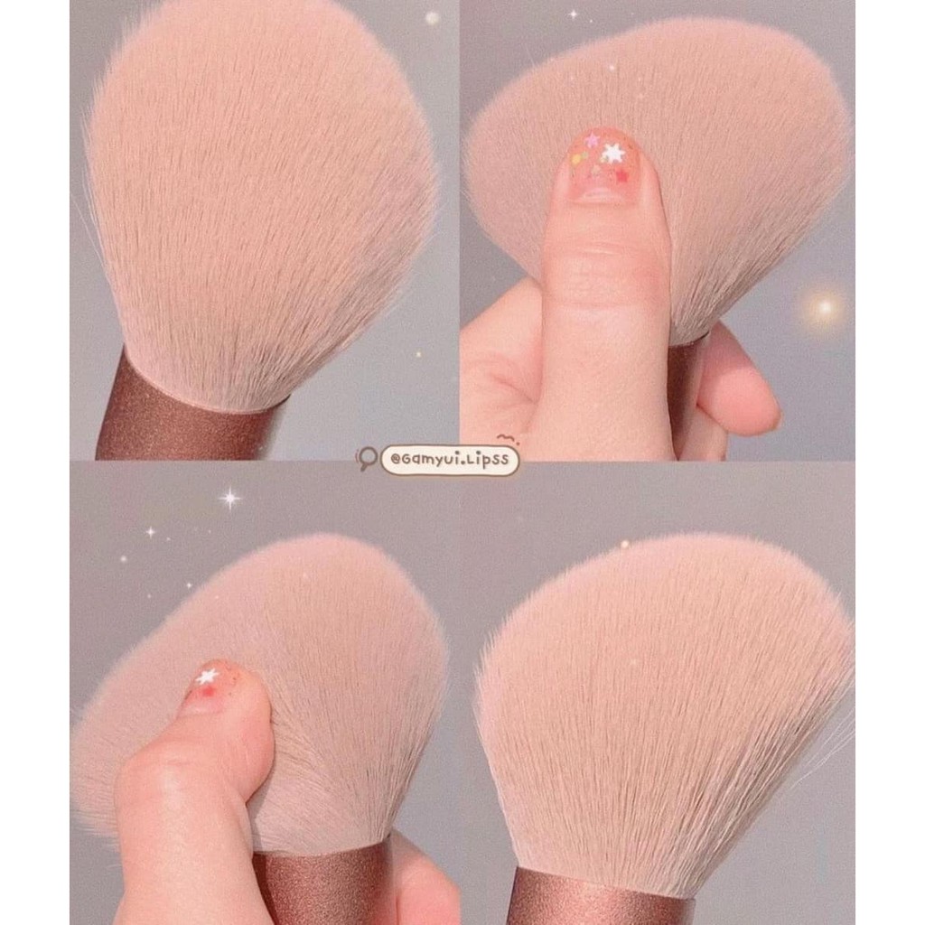 Bộ cọ cá nhân 13 cây fix  kèm túi như hình